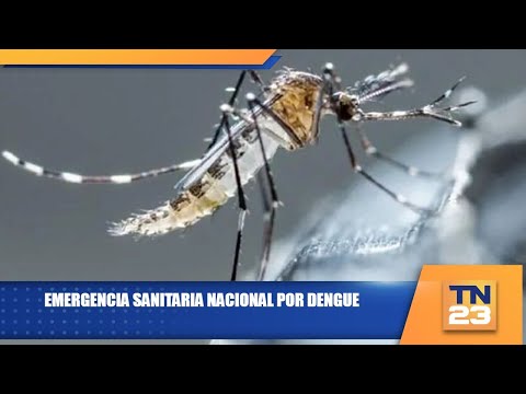 Emergencia sanitaria nacional por dengue