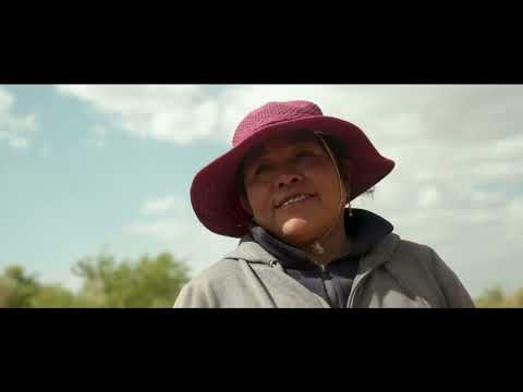 Ganadería y agricultura de la Aldea de Tulor en San Pedro de Atacama. La Ruta del Agua, 2022