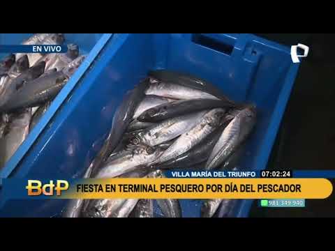BDP EN VIVO VMT terminal pesquero