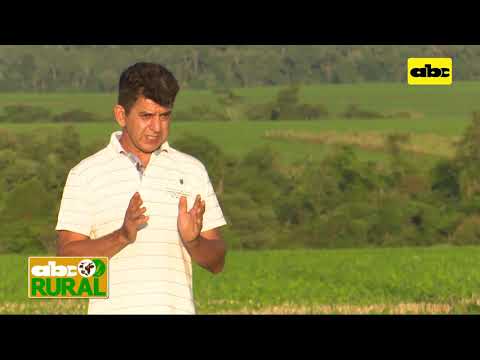 Abc Rural: Cuidados en siembra para soja zafriña
