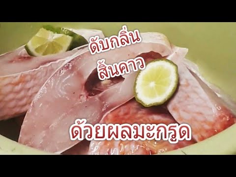 ดับกลิ่นสิ้นคาวปลา-ด้วยผลมะกรู ดับกลิ่นสิ้นคาวปลา-ด้วยผลมะกรู