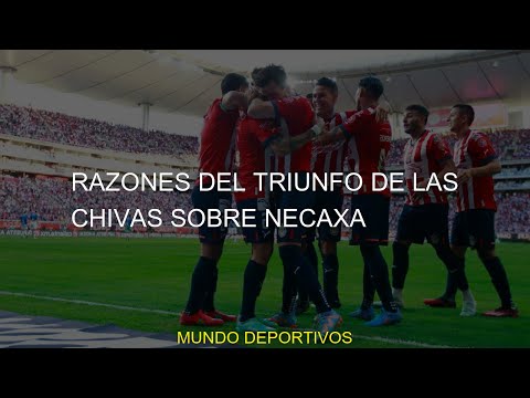 #Chivas #chivas #Razones #Necaxa #2022 #liguilla #queda #triunfo #campeonRazones del triunfo de las