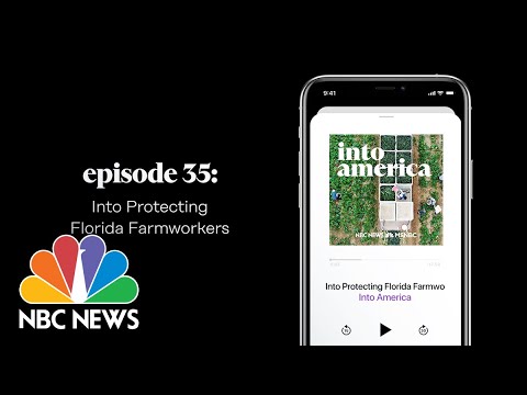 Into Protecting Florida Farmworkers | Into America Podcast – Ep. 35 | NBC News and MSNBC