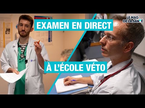 Oniris : École vétérinaire de Nantes 1/5 - Allo Docteurs