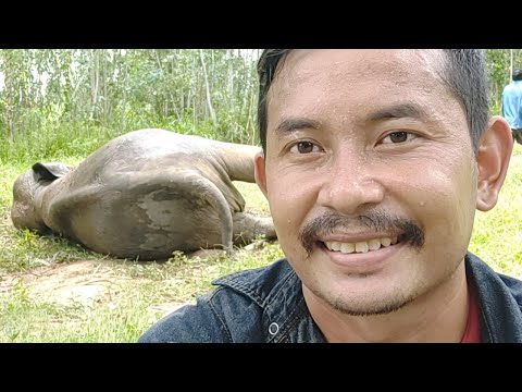 สวัสดีตอนเที่ยง-สามแสบมาอยู่ป่ สวัสดีตอนเที่ยง-สามแสบมาอยู่ป่