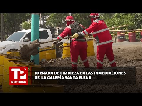 Jornada de limpieza en inmediaciones de la Galería Santa Elena |17.02.2024| TP Noticias
