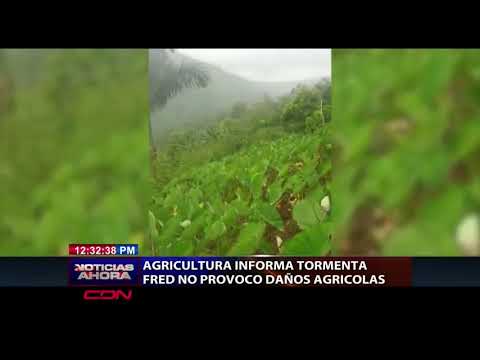 Agricultura informa tormenta Fred no provocó daños agrícolas