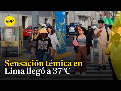 Lima soportó cerca de 37°C de sensación térmica