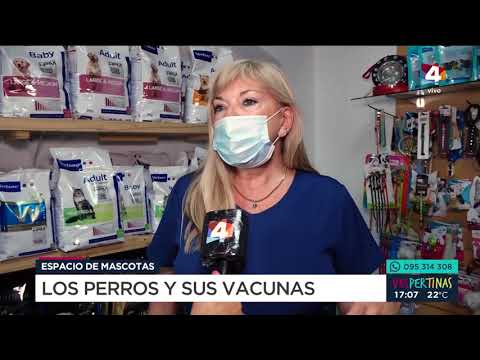 Vespertinas - Las vacunas de los perros