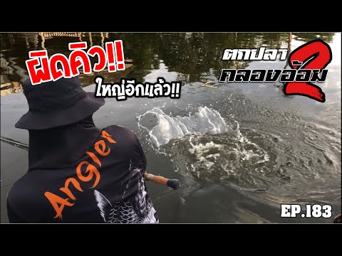 🎣🐠-We-are-Angler-EP:183-“ลุ้นส 🎣🐠-We-are-Angler-EP:183-“ลุ้นส