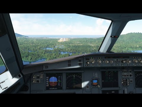 MicrosoftFlightSimulator: