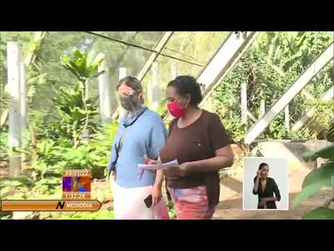 Reabrió sus puertas al público el Jardín Botánico de Cuba