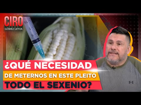 “En septiembre estará concluido el panel del maíz genéticamente modificado”: Páramo | Ciro