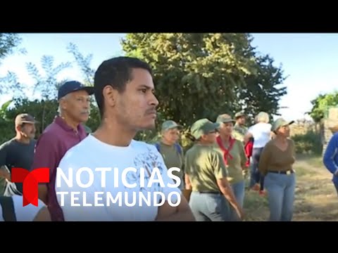 Mueren 11 niños calcinados en un cañaveral de Venezuela | Noticias Telemundo