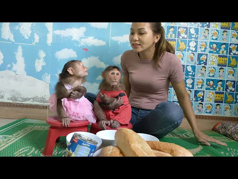 Mimi Kuku crossed her arms and ate bread dipped in milk