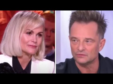 Laeticia Hallyday blessée après une insulte de l’avocate de David