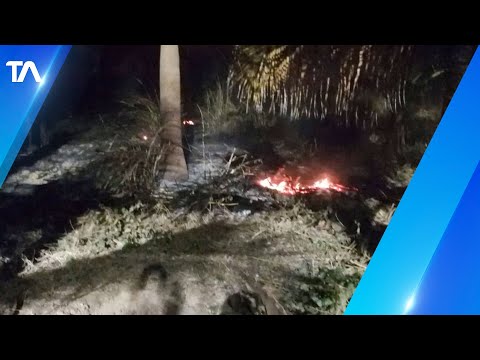 Fuerte incendio forestal se registró en Esmeraldas