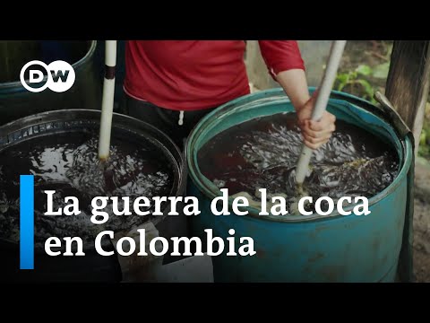 La sobreproducción impide a muchos campesinos vender la coca que cultivan