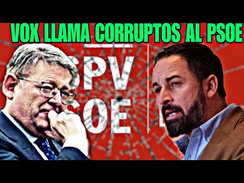 DIPUTADA DE VOX, SOLITA, DESTROZA LA HISTORIA DEL PSOE