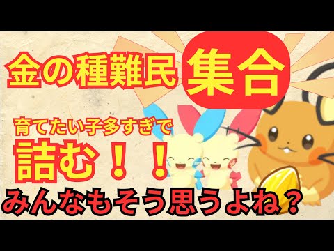 新ポケ追加は嬉しいけど…金種足りなすぎ問題！？【ポケモンスリープ】