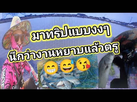 Ep219ตกกะพงบุพเฟ่ทริปขนส่งทั่