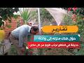 حوّل فناء منزله إلى واحة.. حديقة في الضالع تجذب الزوار من كل مكان