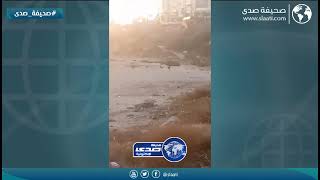 كلاب ضاله تهاجم شاب لبناني على الشاطئ