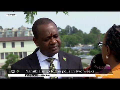 Namibia's Dr Peya Mushelenga says his country is ready for polls