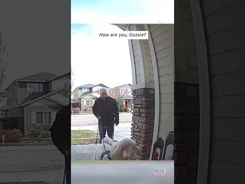 Dog Uses Security Cam to Communicate With Human #shorts