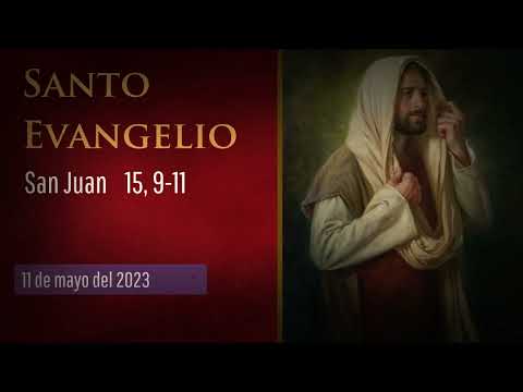 Evangelio del 11 de mayo del 2023 según San Juan 15, 9-11