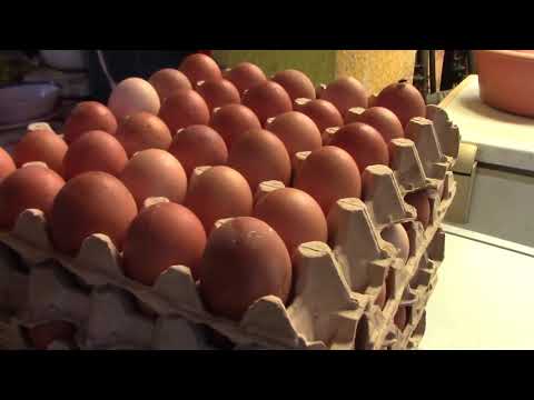 Preocupación por el precio de los huevos en Santa Rosa de Lima, La Unión