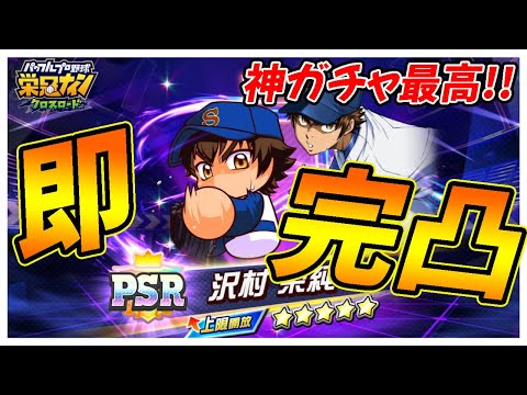【やるやん運営】「沢村栄純」スカウトまさかのすり抜けなし！良いでしょう、報いましょう！完凸で！！｜ダイヤのAコラボ「ワールドバトルロイヤル」【栄冠ナインクロスロード】