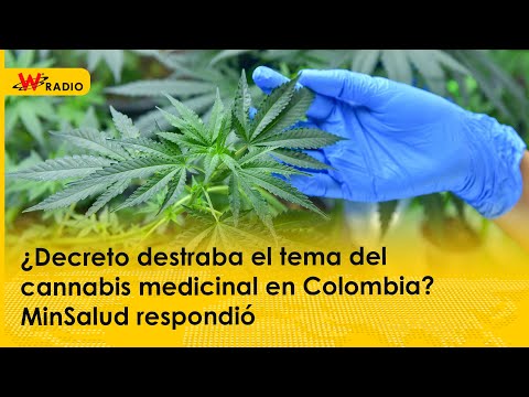 ¿Decreto destraba el tema del cannabis medicinal en Colombia? MinSalud respondió