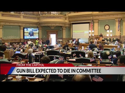 Bill to ban semiautomatic guns to die in committee