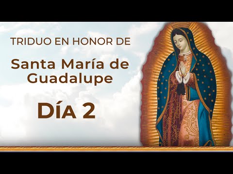 TRIDUO a Nuestra Señora de Guadalupe - Día 2 | Padre Ricardo del Campo #virgendeguadalupe