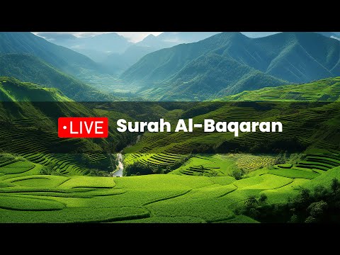 Al-Baqarah Full-Muhammad Hisyam | Penenang Hati dan Pikiran