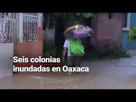 EMPEZAR DE CERO | Más de 5 colonias están bajo el agua tras desbordamiento de río en Oaxaca