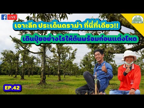 EP.42-เจาะลึกประเด็นร้อน-ดราม่ EP.42-เจาะลึกประเด็นร้อน-ดราม่