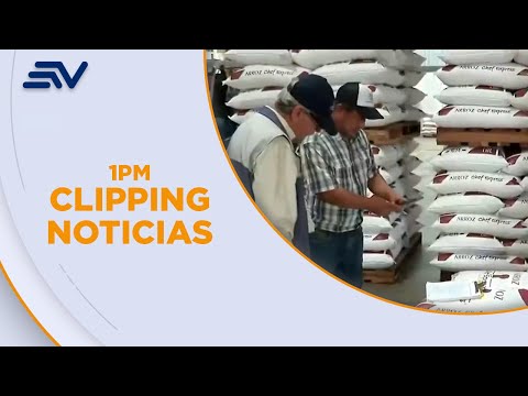 Autoridades realizan operativos para la regulación del arroz | Televistazo | Ecuavisa