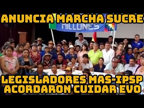 SENADORES Y DIPUTADOS DEL MAS-IPSP PARTICIPARAN EN EL  AMPLIADO DE SANTA CRUZ