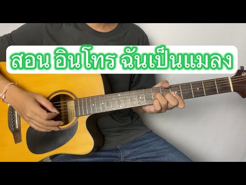 สอนอินโทรฉันเป็นแมลง-คณะขว