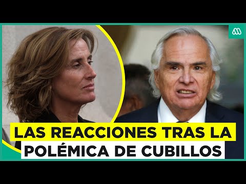 Las reacciones tras los dichos de Marcela Cubillos contra el Gobierno