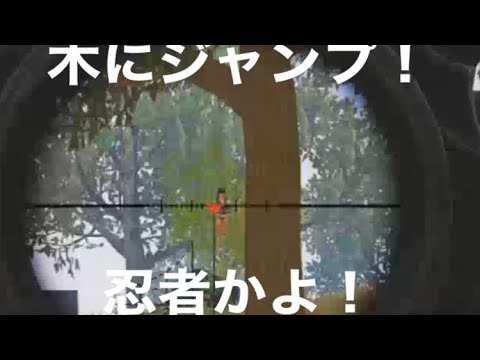 #先行アプデ「木登り」バグ！ｗ【荒野行動】PC版『KNIVES OUT』「荒野の光」　#荒野行動　#荒野バババン8周年 #底辺まぁ【荒野無課金】