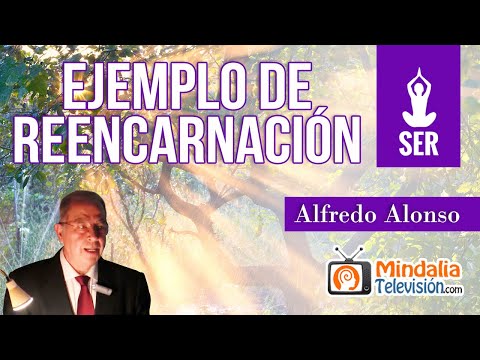 Ejemplo de reencarnación, por Alfredo Alonso