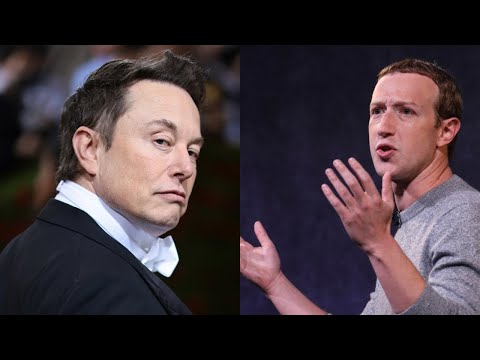 Elon Musk's cage fight with Mark Zuckerberg 'falling apart': Dana White