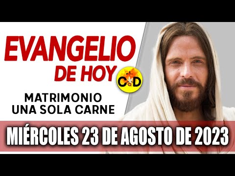 Evangelio de Hoy Miércoles 23 de Agosto 2023 | REFLEXIÓN del Evangelio Católico al Día | Católica