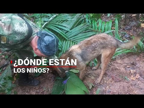 ¿NIÑOS SOBREVIVIENTES? | Cae avioneta en Colombia y no se sabe dónde están cuatro niños