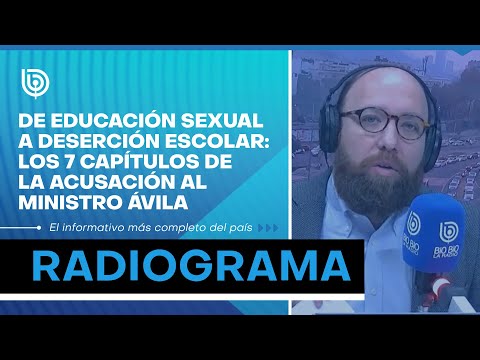De educación sexual a deserción escolar: Los 7 capítulos de la acusación al ministro Ávila