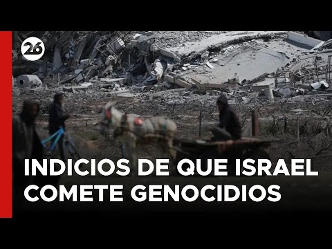 ONU: Indicios de que Israel comete genocidios en Gaza
