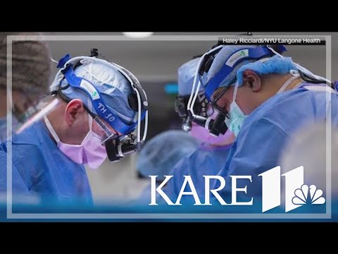 Successful gene-edited pig kidney transplant